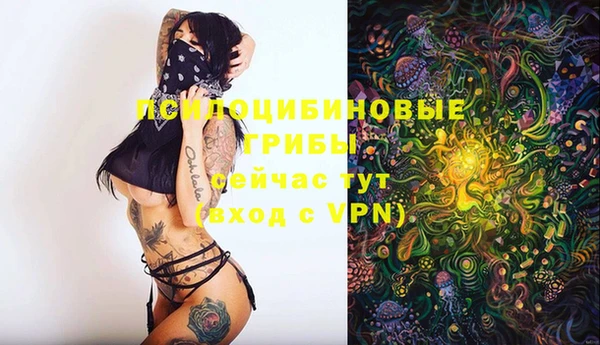 гидропоника Мегион