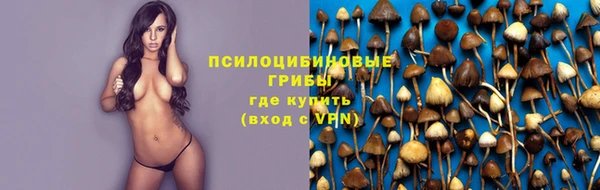 дживик Медногорск