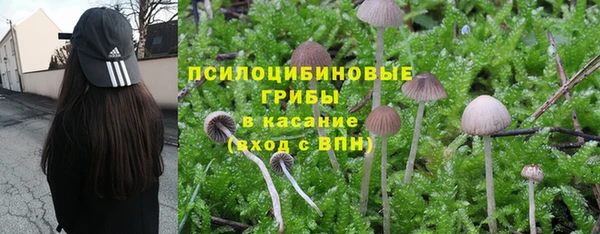 прущие крисы Аркадак