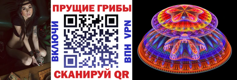 Псилоцибиновые грибы мухоморы  KRAKEN рабочий сайт  Калуга 