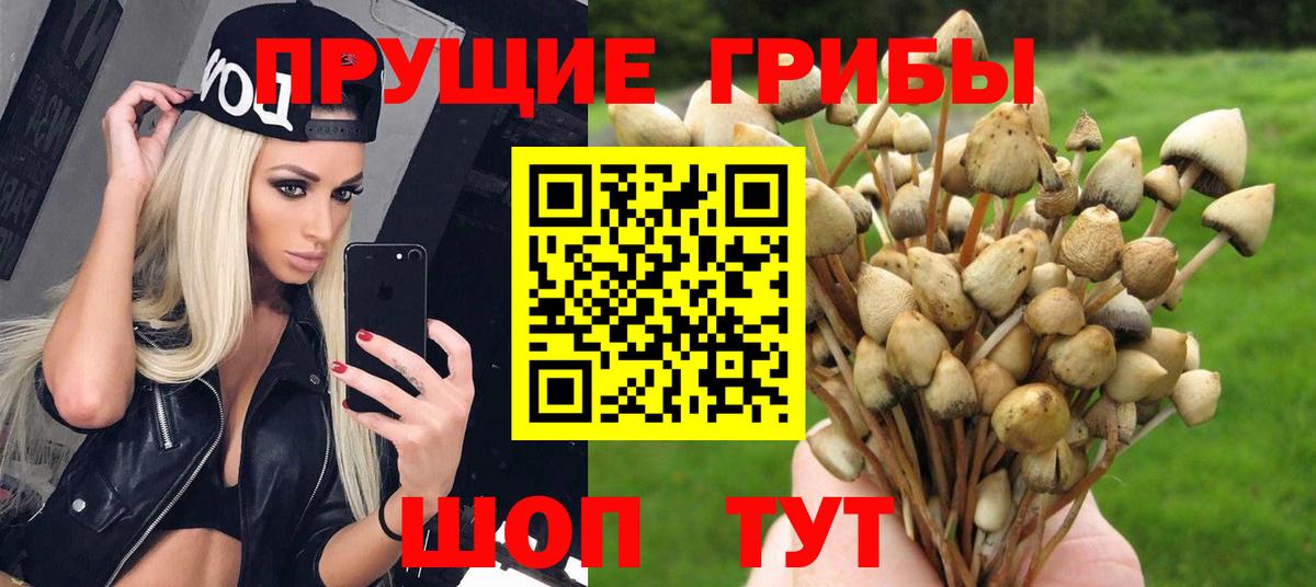 наркота  Галлюциногенные грибы Psilocybine cubensis  Вход с VPN  Калуга 