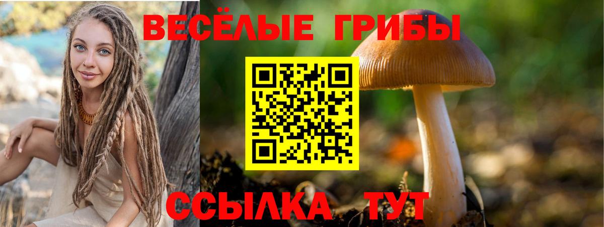 Галлюциногенные грибы мицелий Калуга